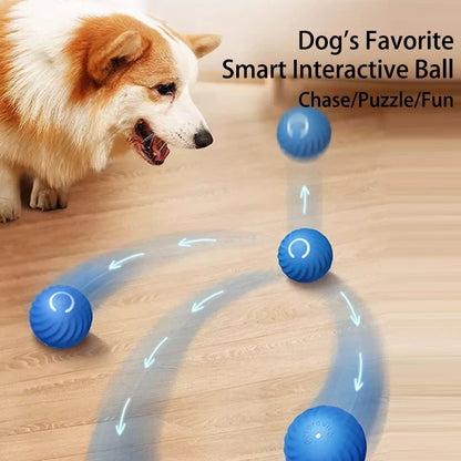 Smart ball toy for dogs, interactive bouncing balls for puppies, geometric bright toys, moving chew-obsessed intelligent design